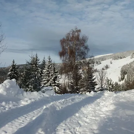Horska Svetlanka